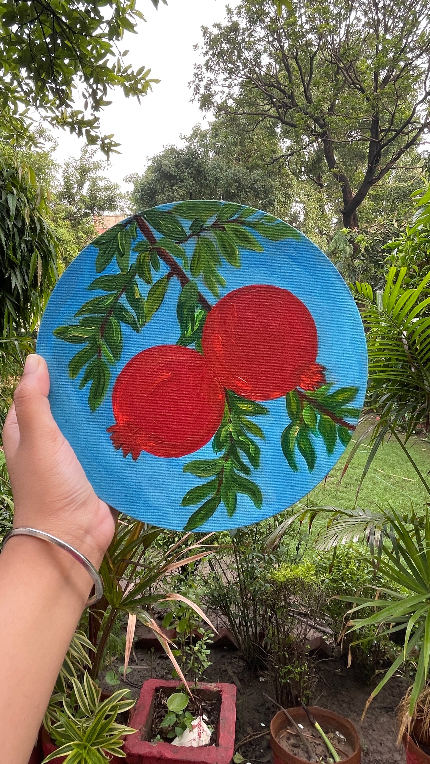 Pomegranate